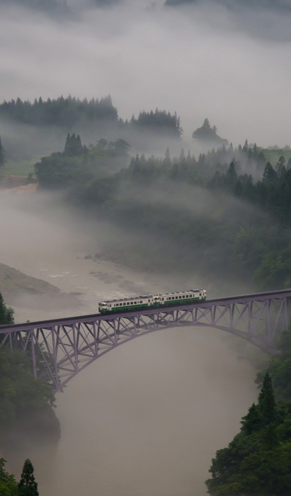 Железнодорожный мост в виде арки над зеленым лесом и рекой