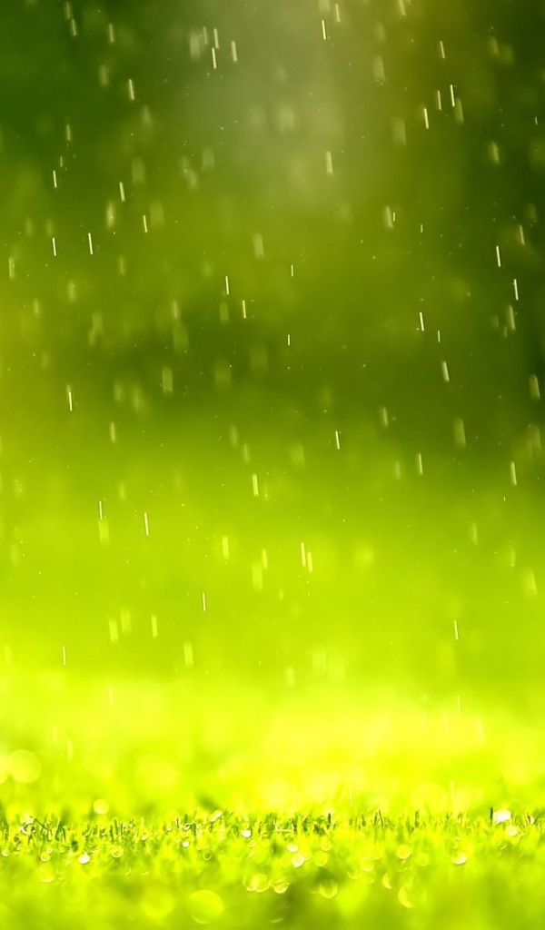 Дождь в зеленой дымке