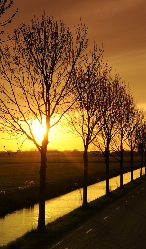 Дорога с каналами по краям