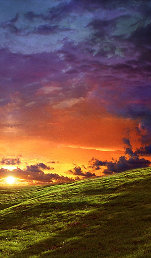 Круглые кроны деревьев на вершинах холмов