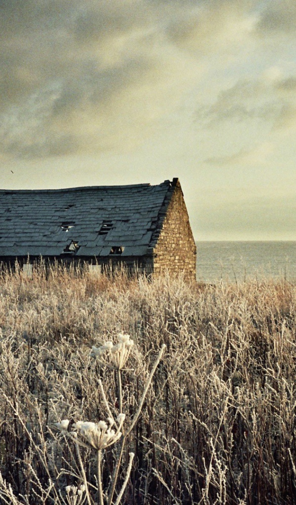 Разрушенный дом на засохшем поле
