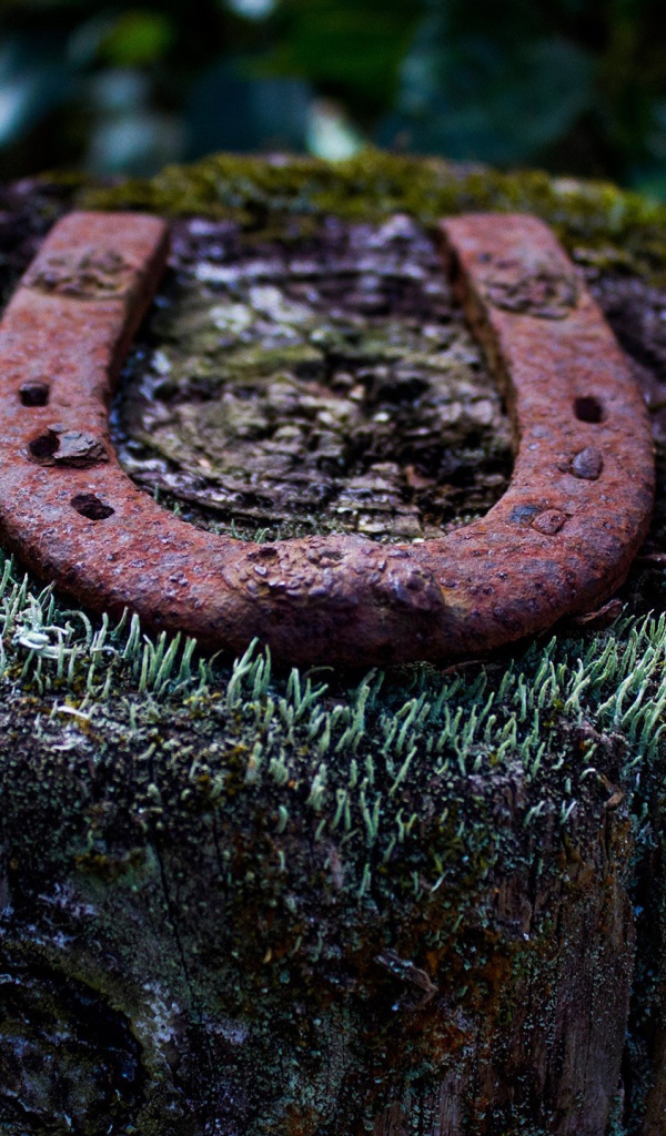 Ржавая подкова на пеньке