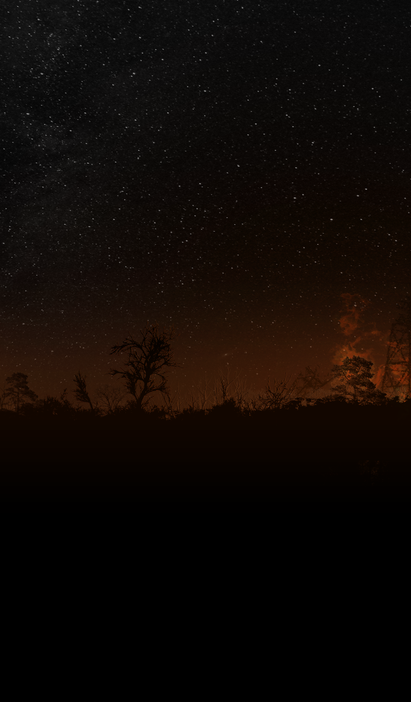 Силуэты на фоне заката и звездного неба