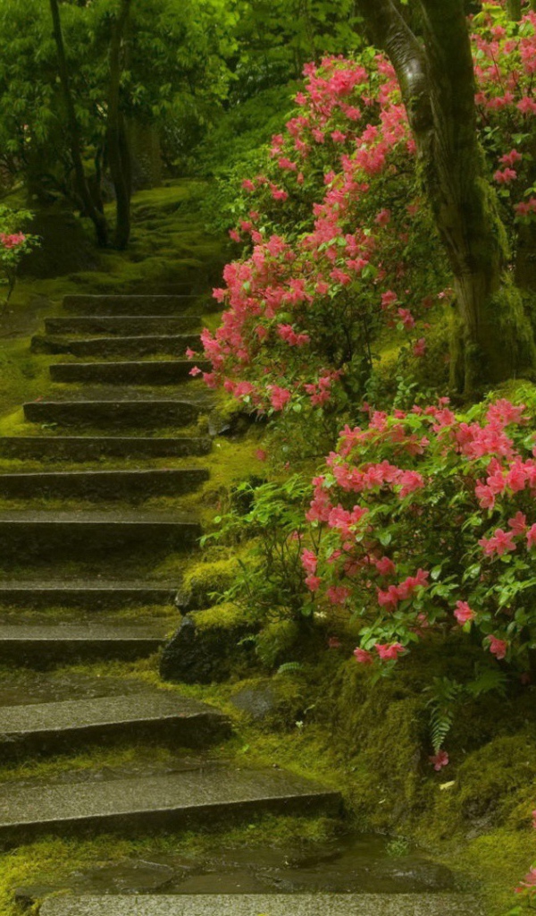 Каменная лестница в цветущем саду