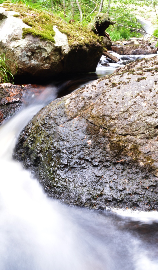 Ручей среди покрытых мхом камней