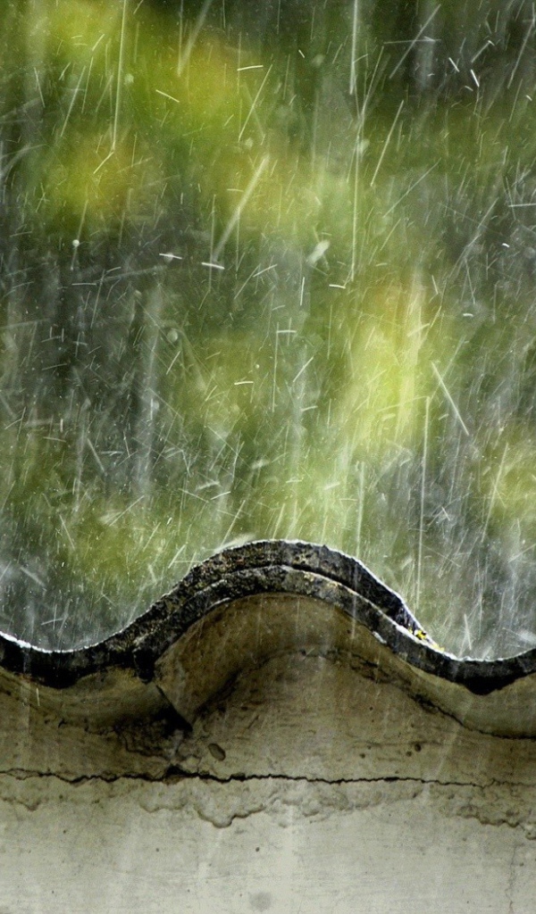 Летний дождь бьет по крыше