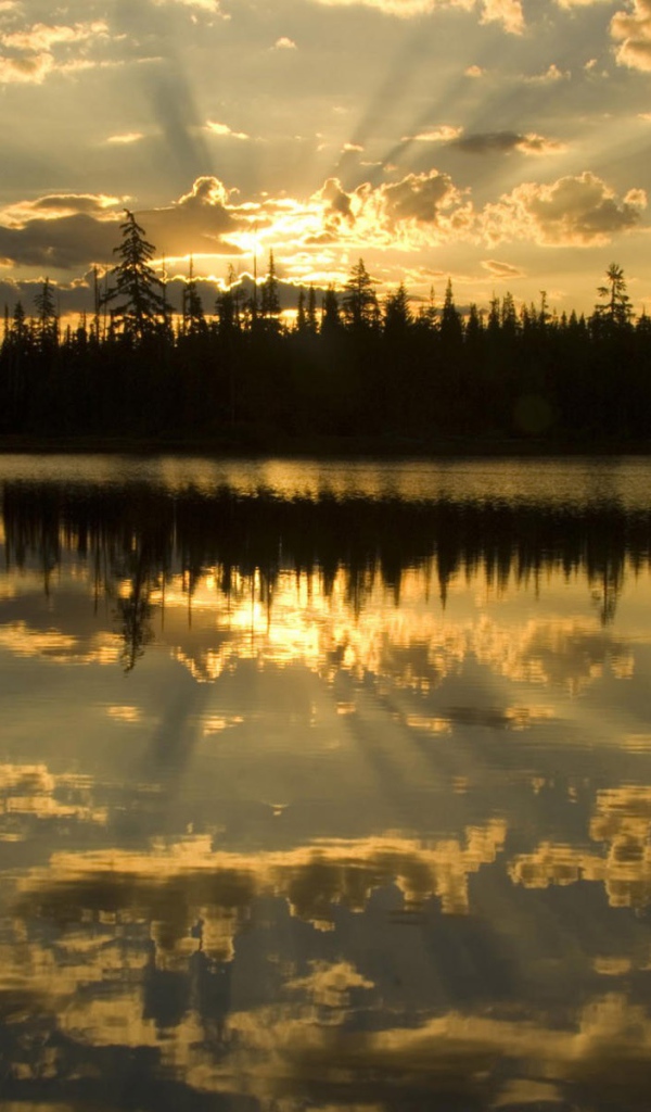 Освещенные лучами солнца облака отражаются в воде