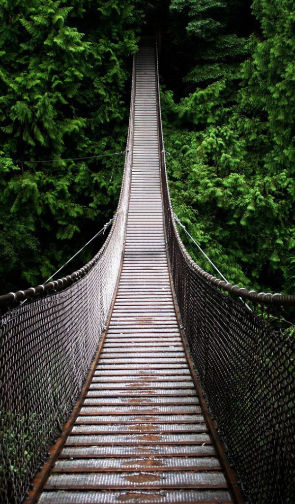 Подвесной мост на канатах