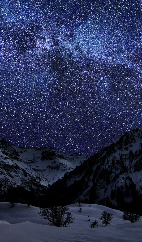 Млечный путь в ночном небе