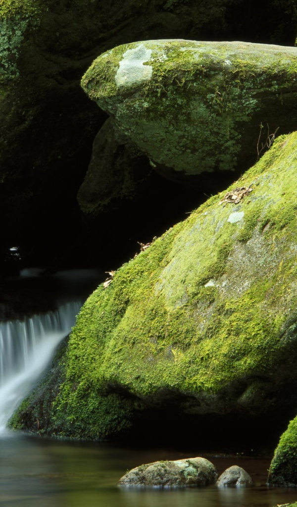 Поток воды среди покрытых мхом камней