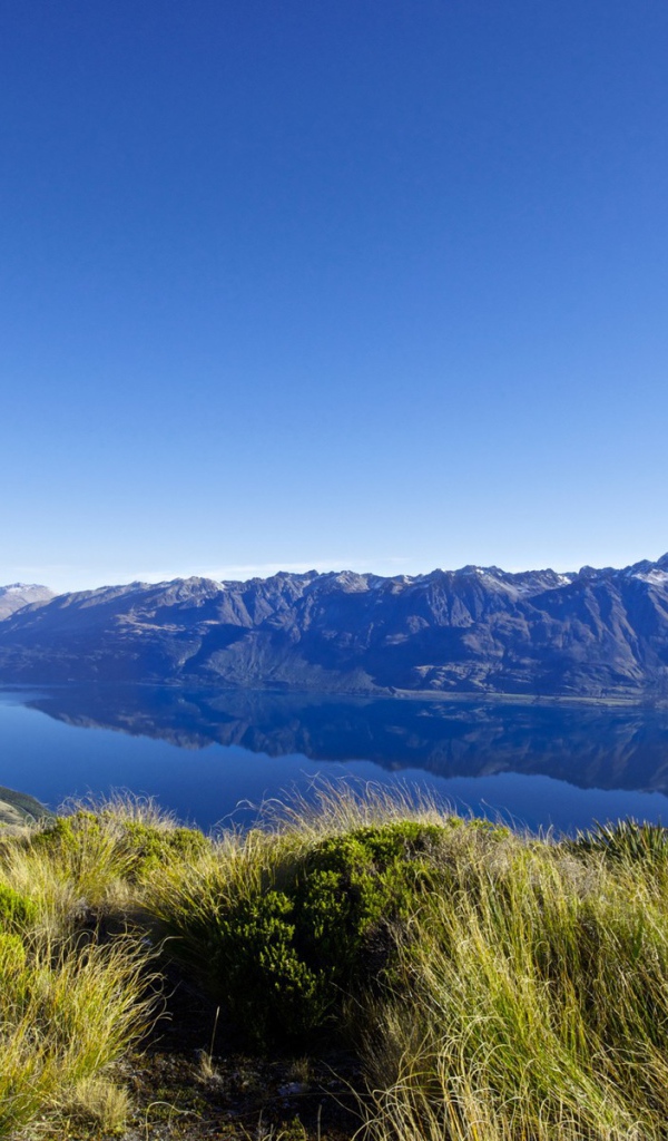 Суровая дикая природа