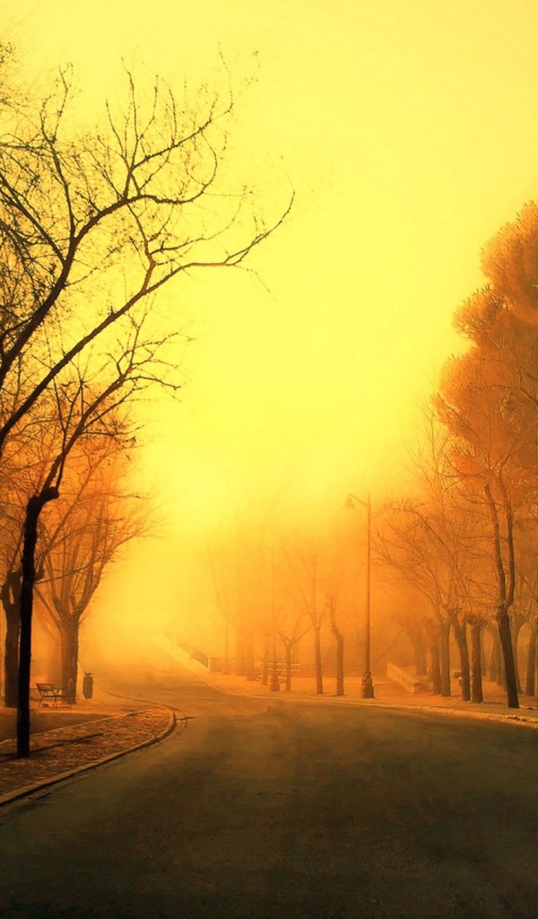 Дорога уходит в оранжевую дымку