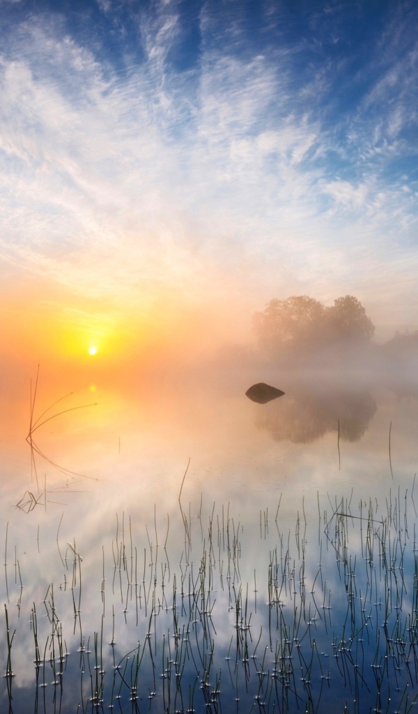 Желтое солнце в утреннем тумане