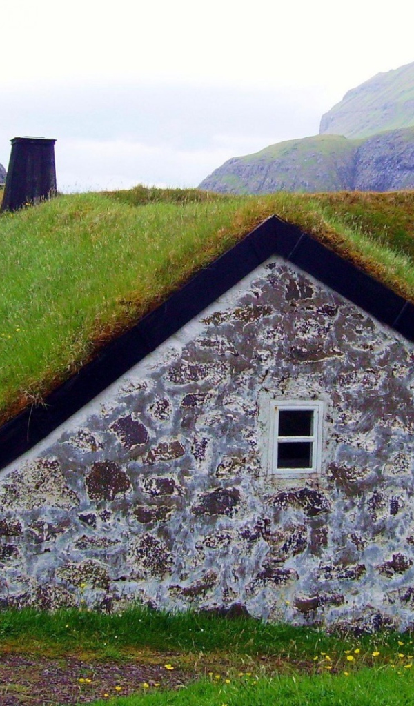 Густая трава на крыше сарая