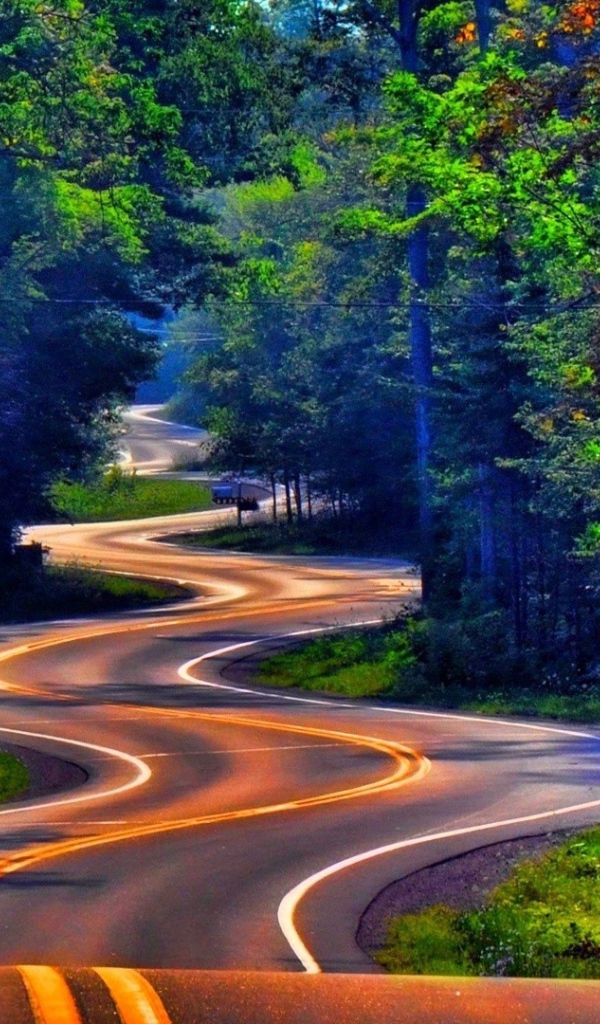 Извилистое шоссе среди леса