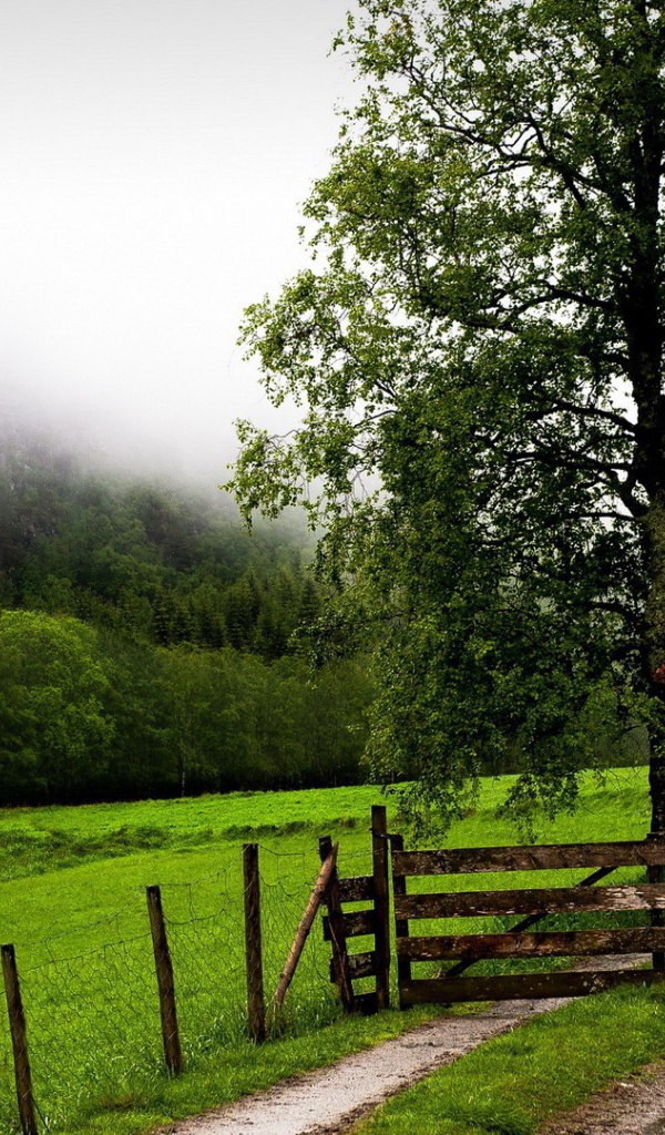 Деревянная преграда на тропе