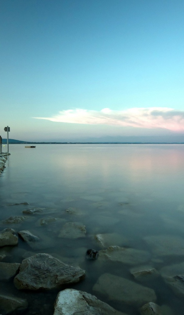 Деревянные сваи от пирса