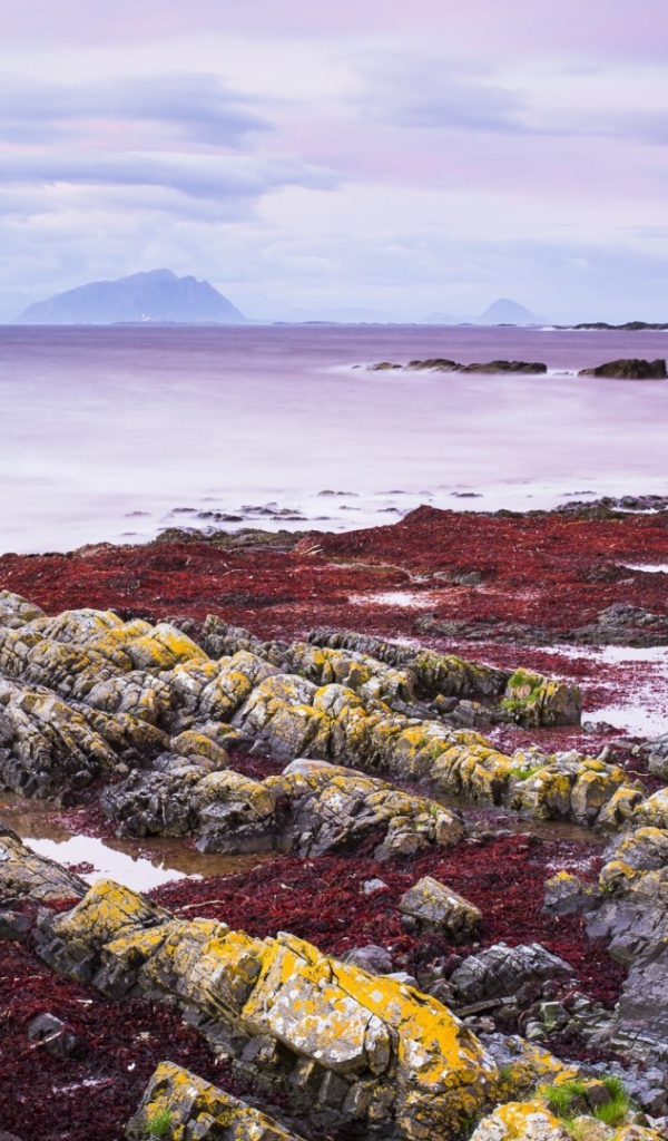 Желтые камни на берегу моря