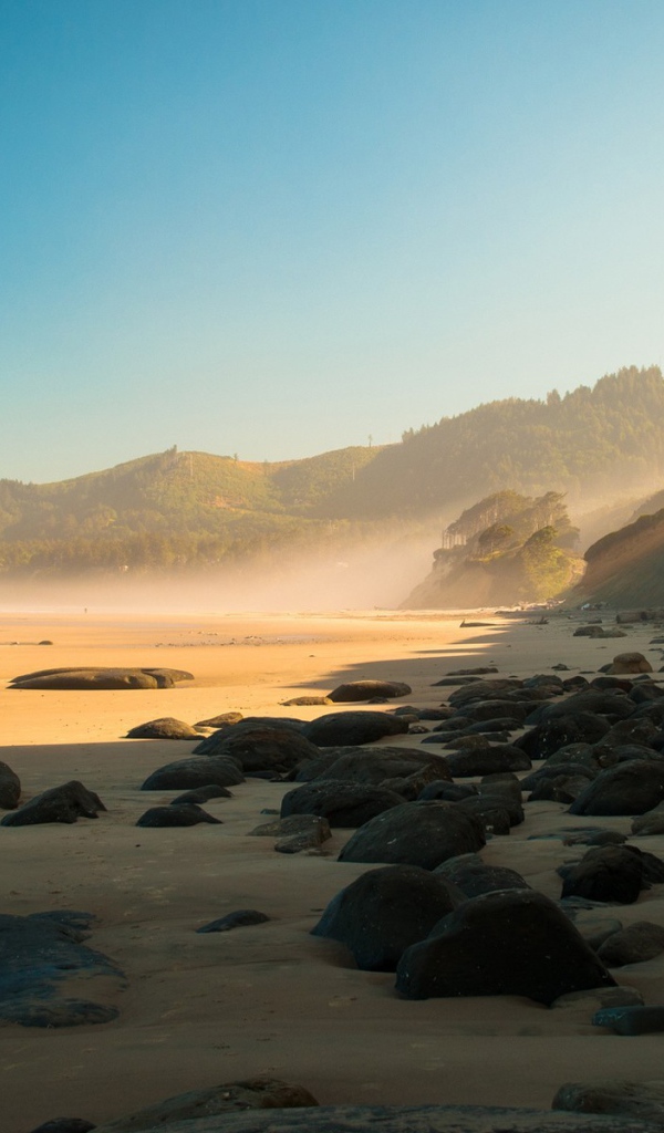 Черные круглые камни на песке пляжа