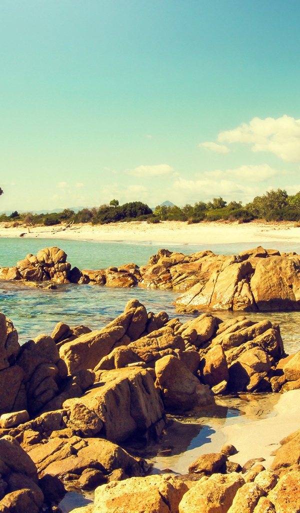 Коричневые камни и скалы на берегу моря