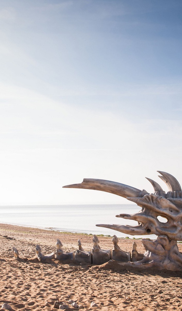 Череп дракона на пляже