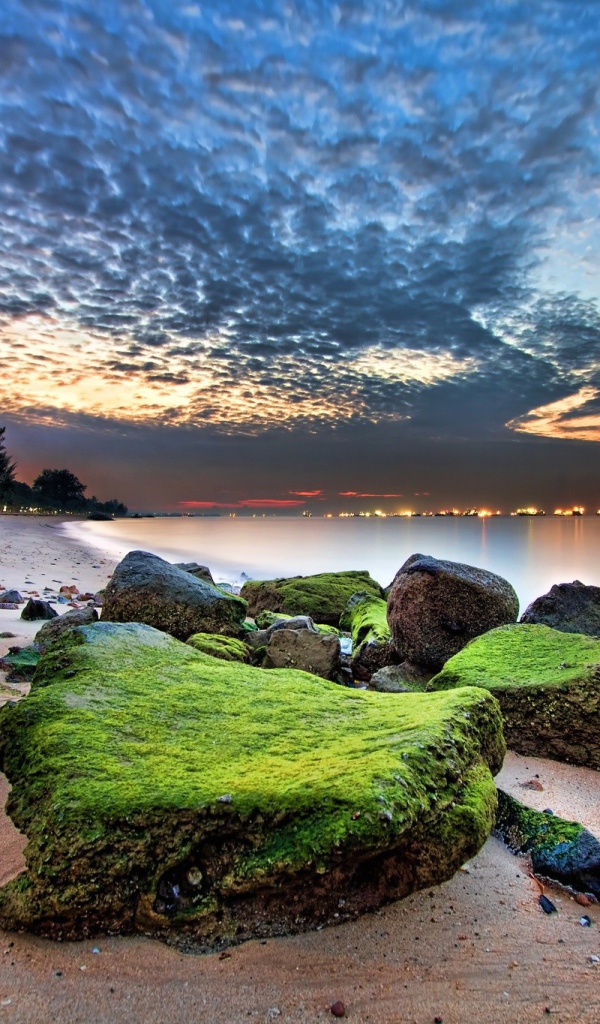 Зеленые камни на песке пляжа