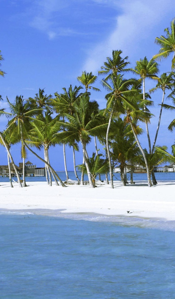 Пальмы на белоснежном песке