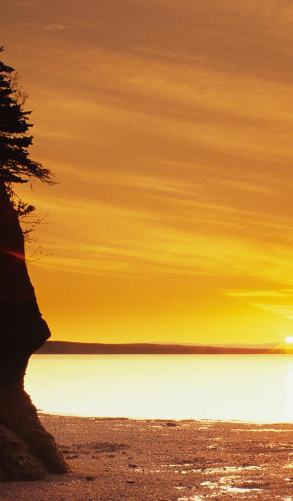 Скала с растениями на пляже