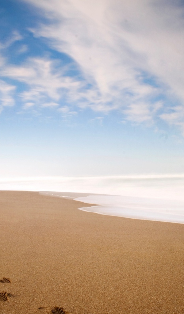 Ряд следов петляет по песку пляжа