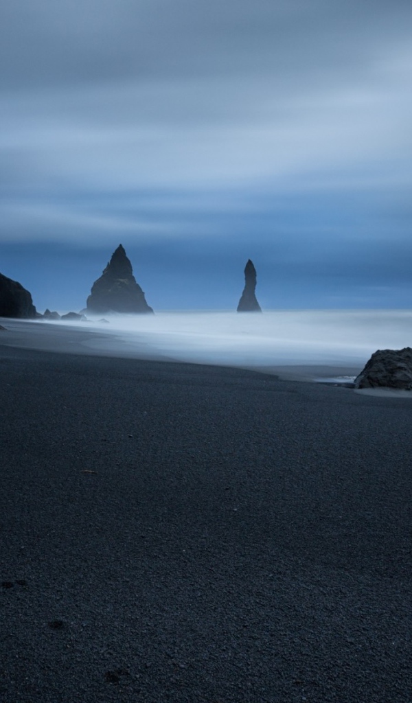 Следы животного на черном песке пляжа