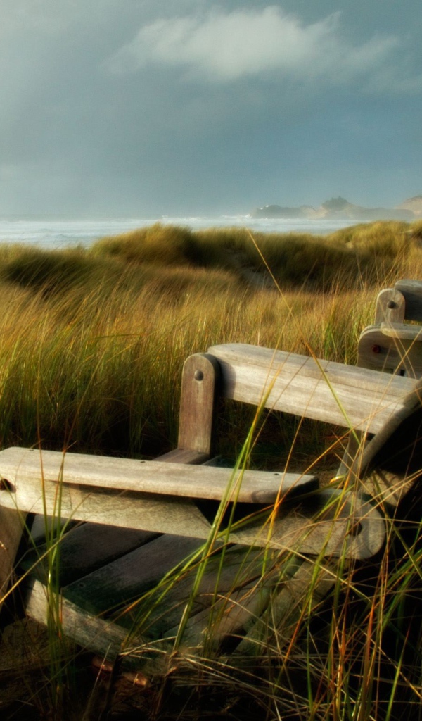 Деревянные кресла на побережье