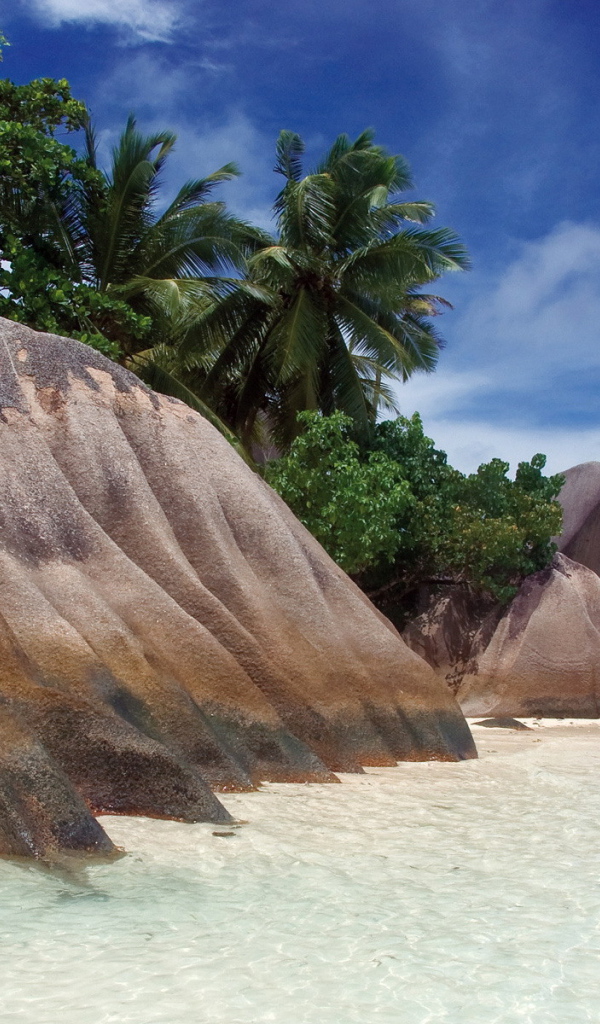 Красивый камень на пляже