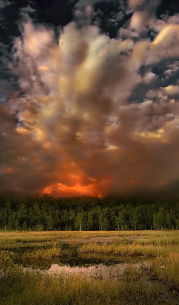 Приближение грозовых облаков