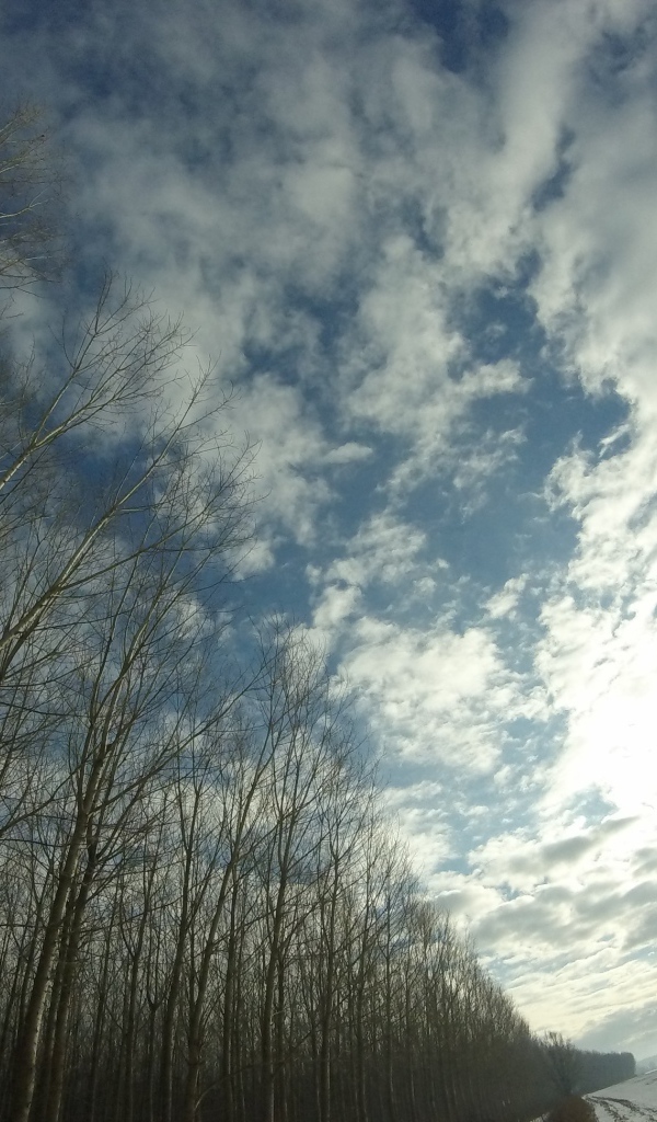 Облака в весеннем небе