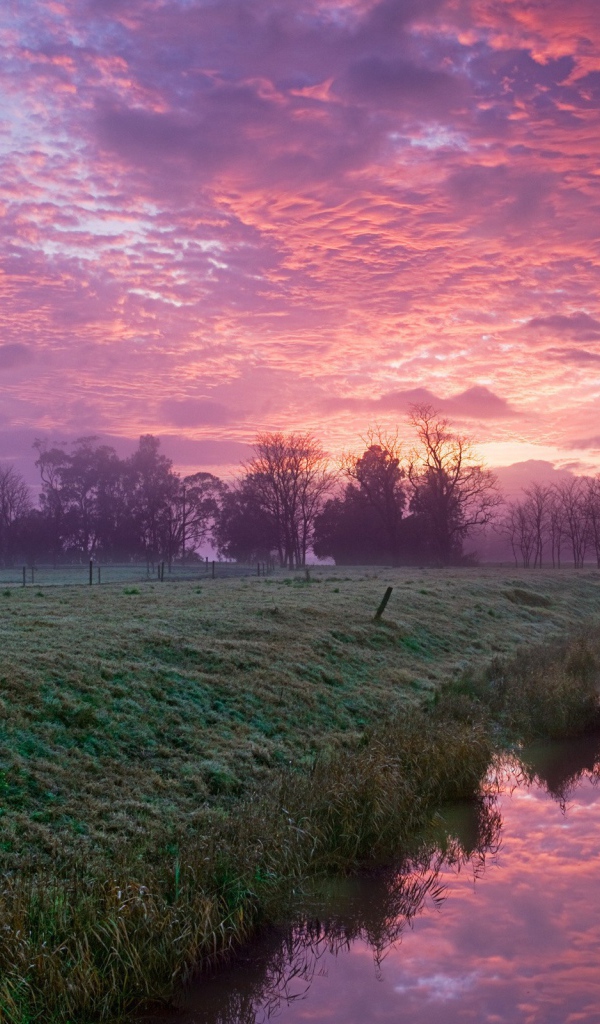 Розовые облака на рассвете