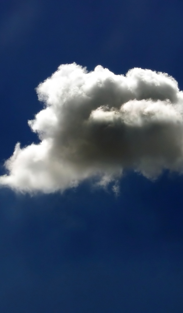 Маленькое облако в лучах солнца