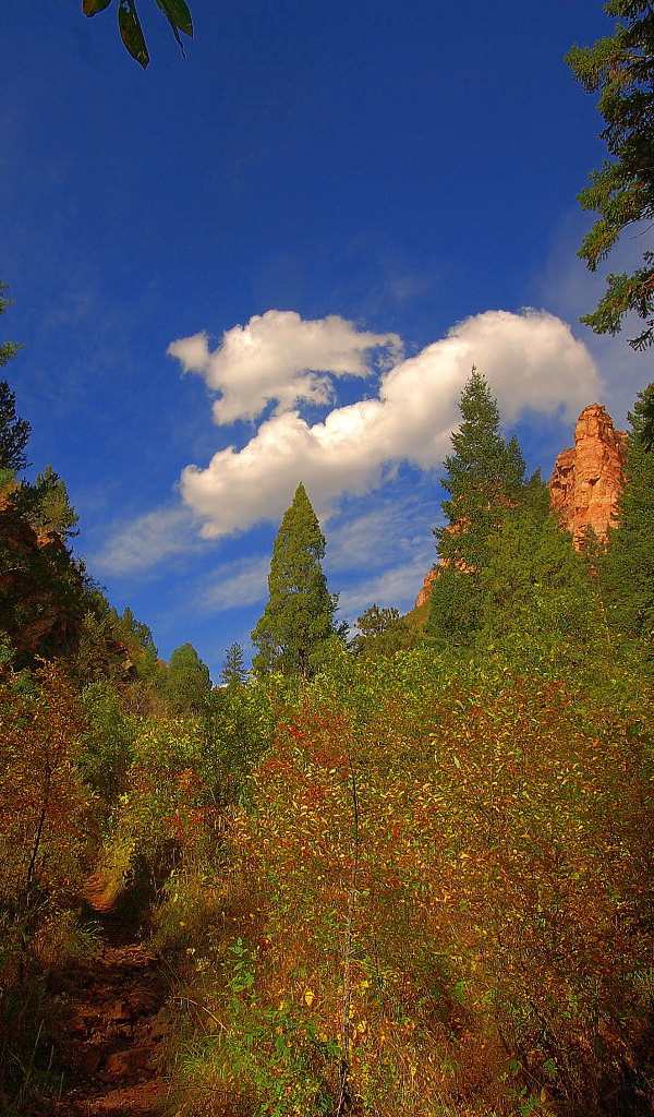 Кусок синего неба
