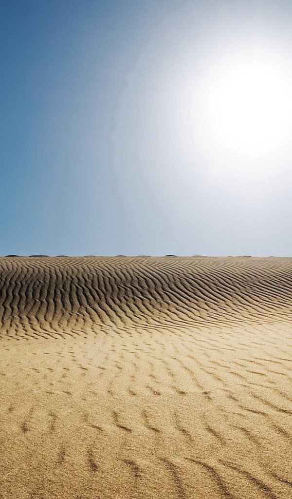 Бескрайняя мертвая пустыня