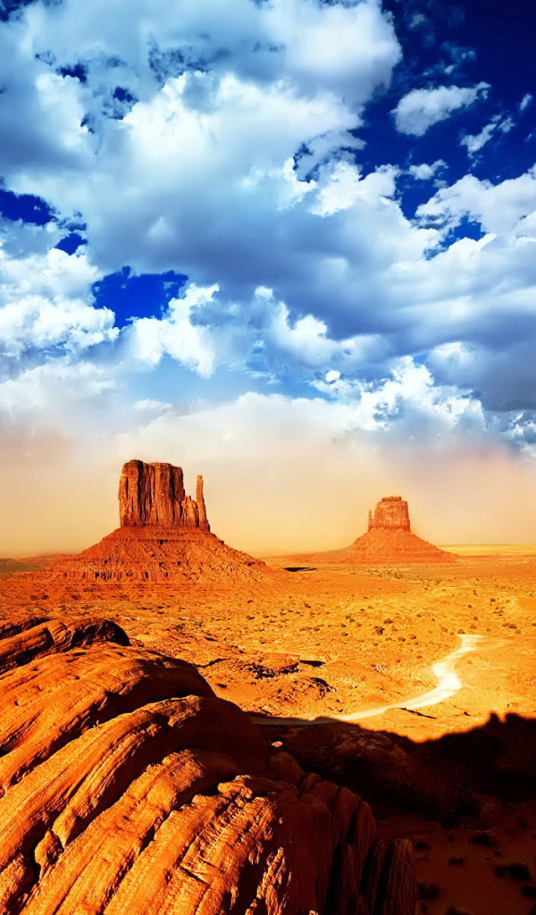 Пустыня в Америке