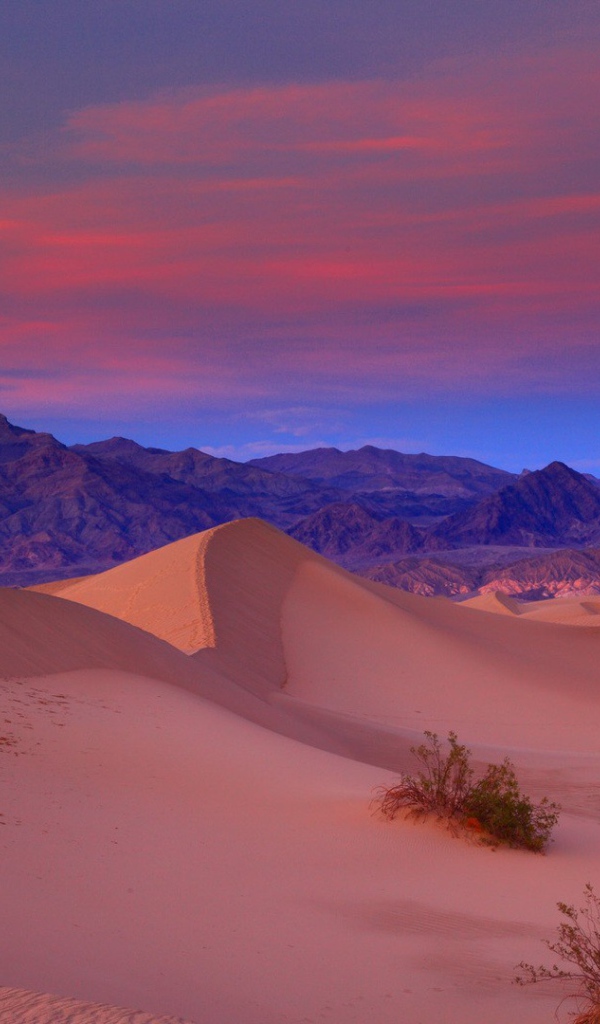 Пустыня розового цвета