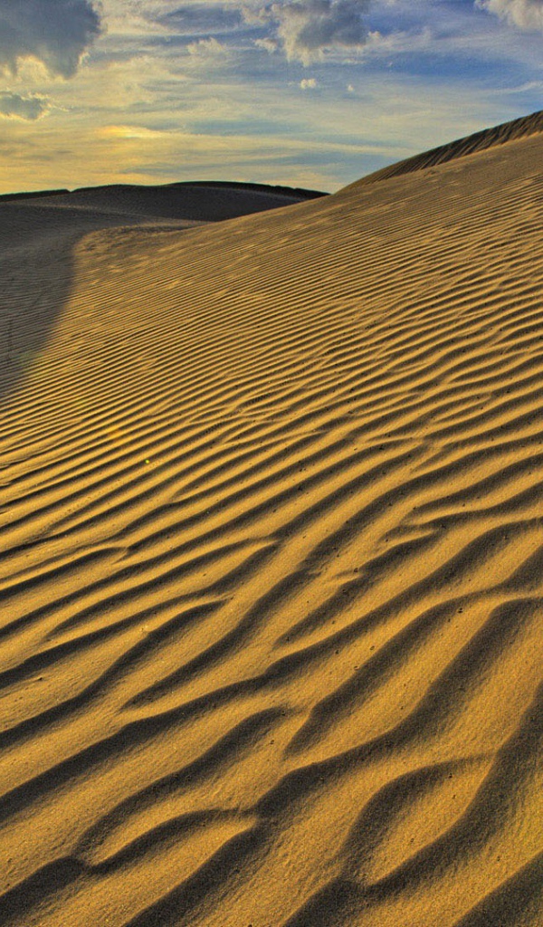 Бескрайние песчаные барханы