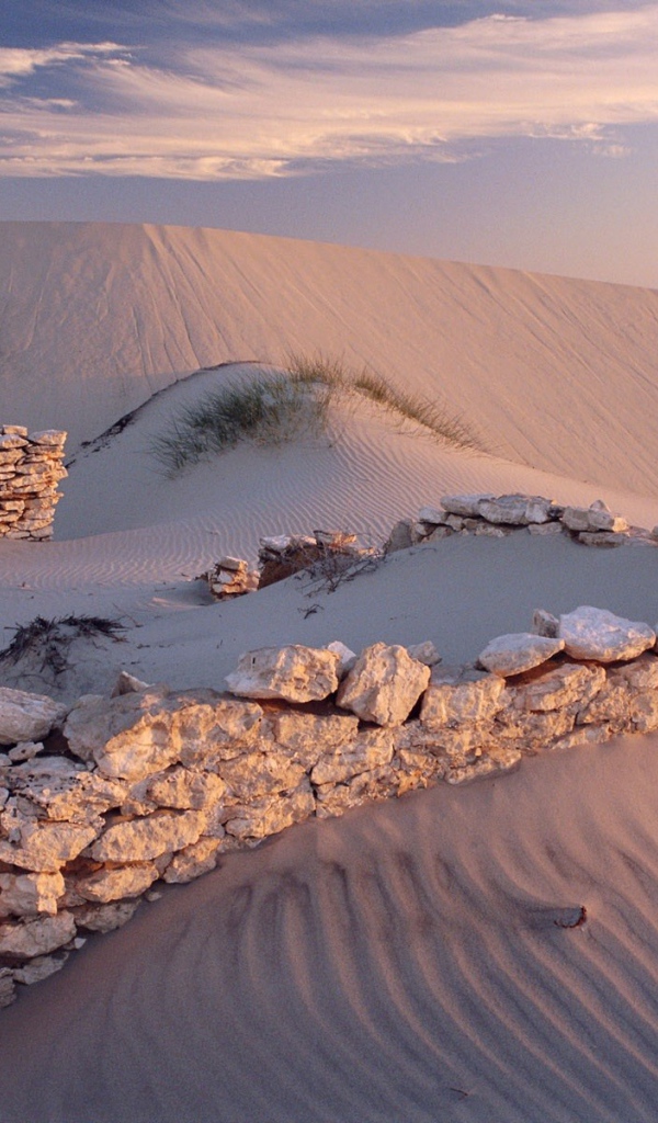 Руины в пустыне