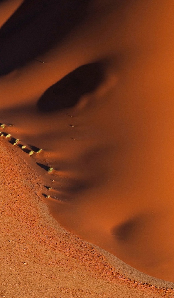 Камни на песке в пустыне