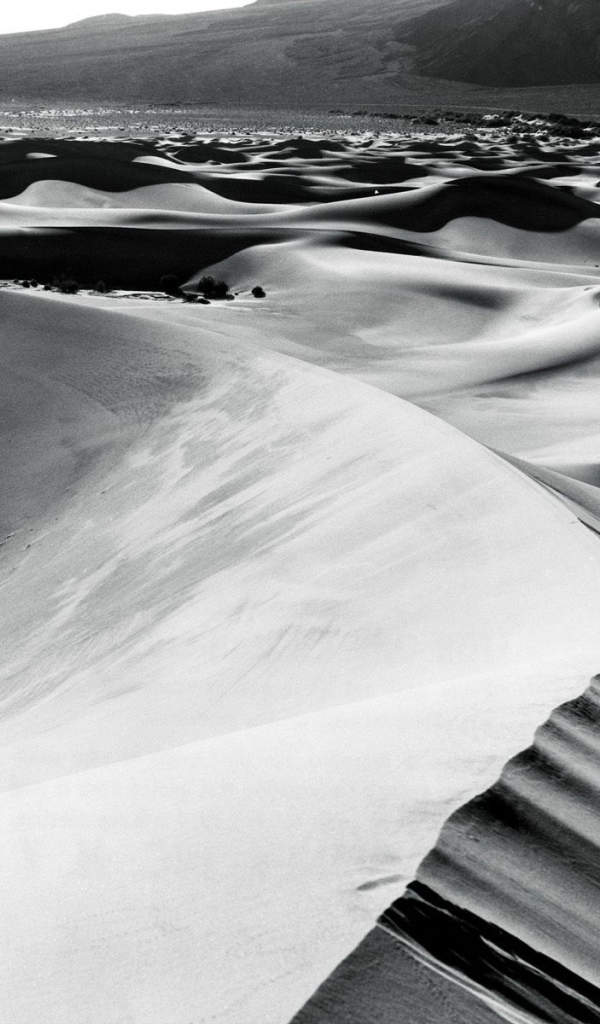 Барханы в пустыне