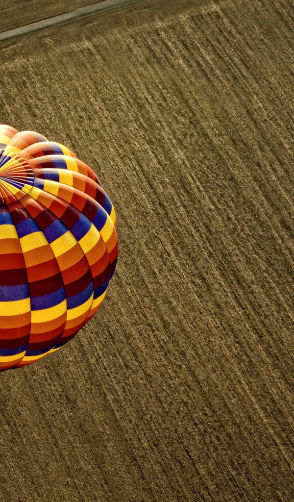 Воздушный шар над вспаханным полем