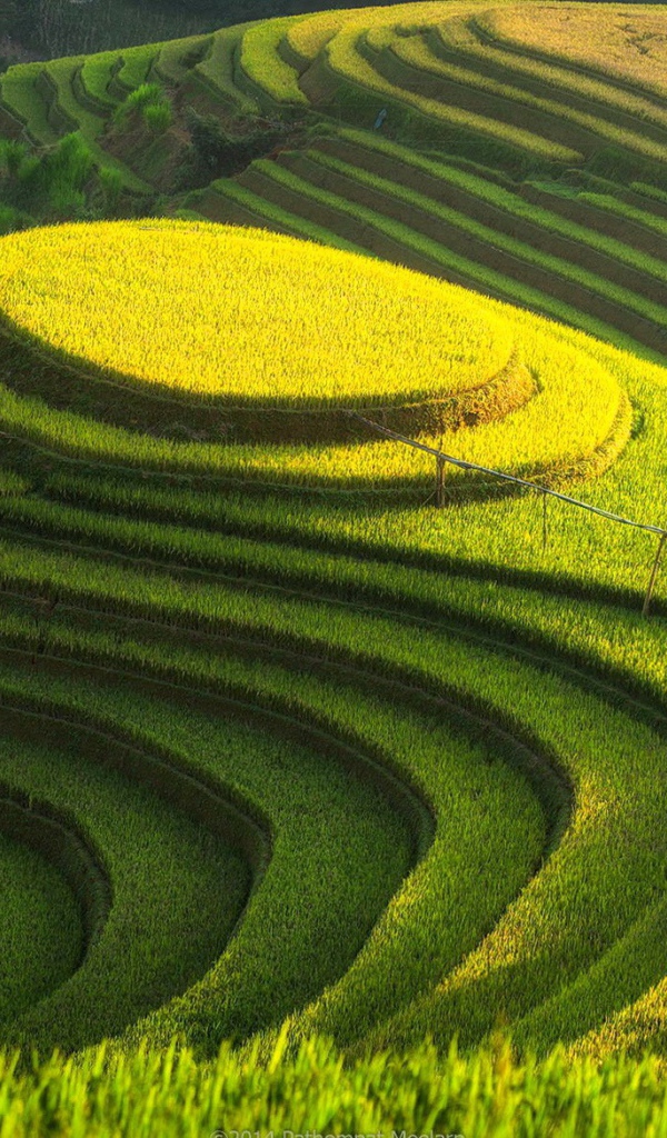 Возделанные поля на холме