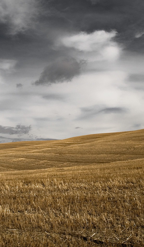 Темное небо над скошенным полем