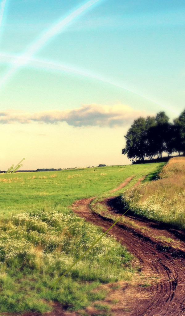 Грунтовая дорога через поле