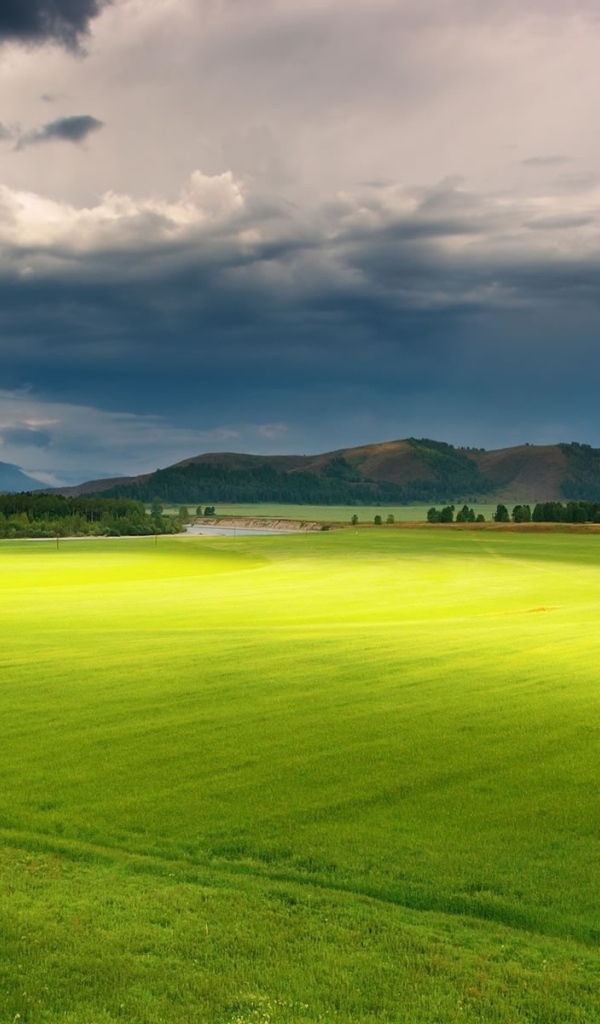 Полет над зеленой равниной