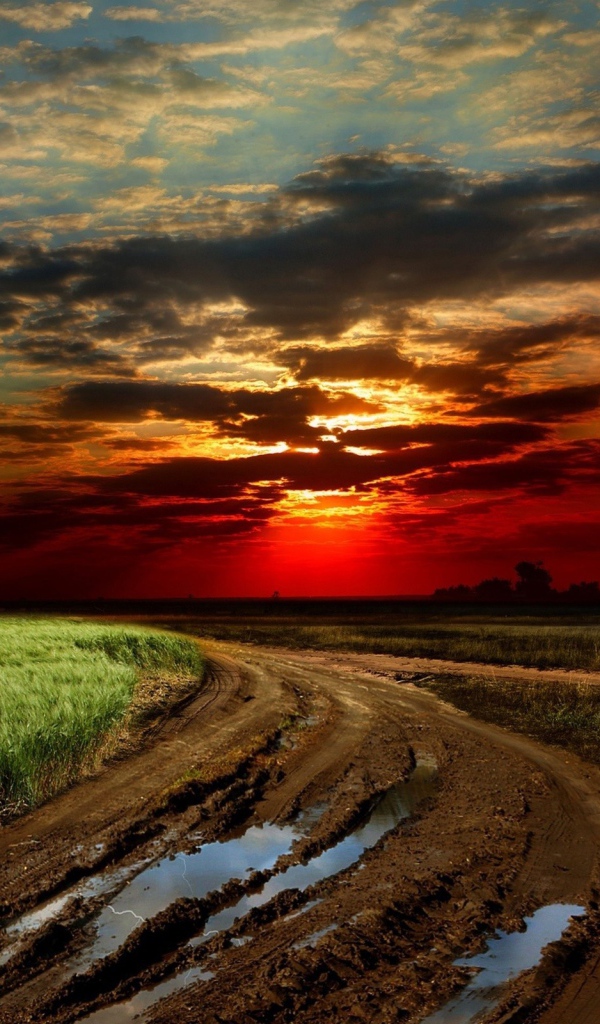 Размытая грунтовая дорога на краю поля